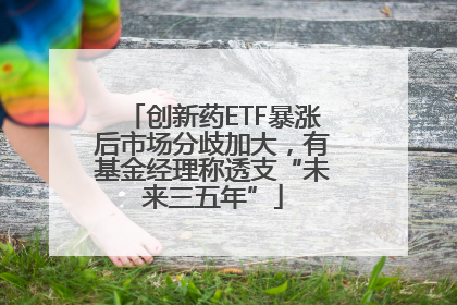 创新药ETF暴涨后市场分歧加大，有基金经理称透支“未来三五年”